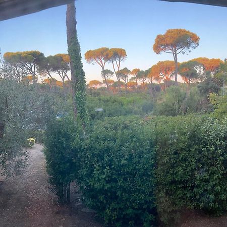 Hotel Grifone Principina a Mare Luaran gambar